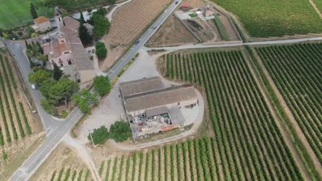 paisaje aéreo con un pequeño pueblo rodeado de viñedos en penedes, españa