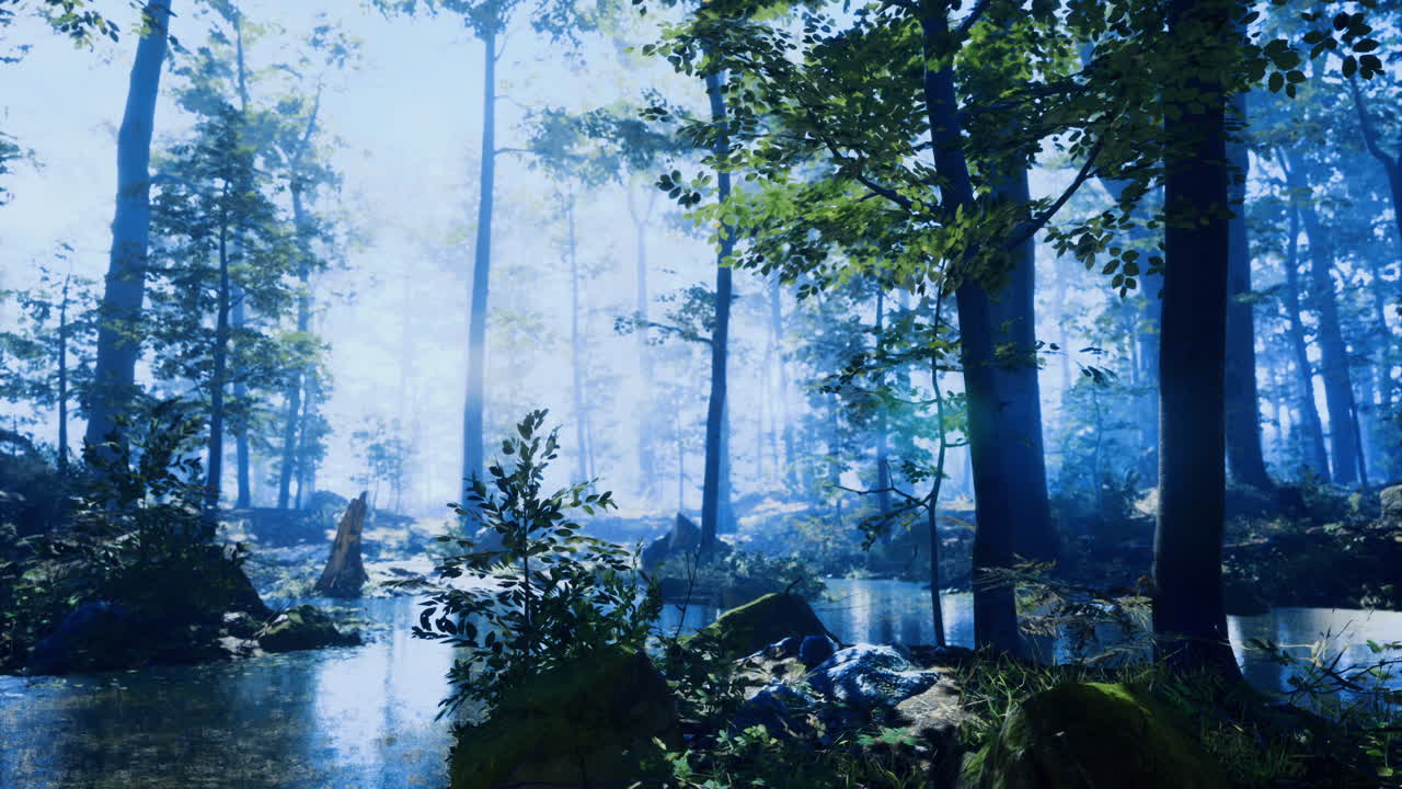 Lush green forest with mist and serene water reflections in early morning