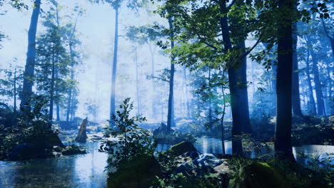 lush green forest with mist and serene water reflections in early morning