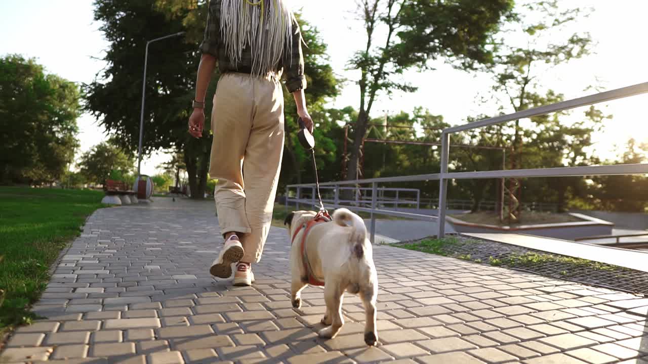 vista rara de un pug corriendo en el parque con la dueña femenina liderando la correa