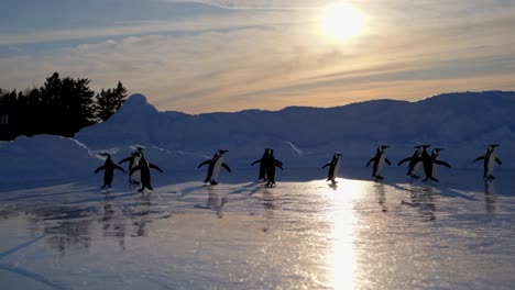 penguins on ice at sunset