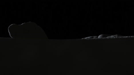 3d animation of the lunar surface