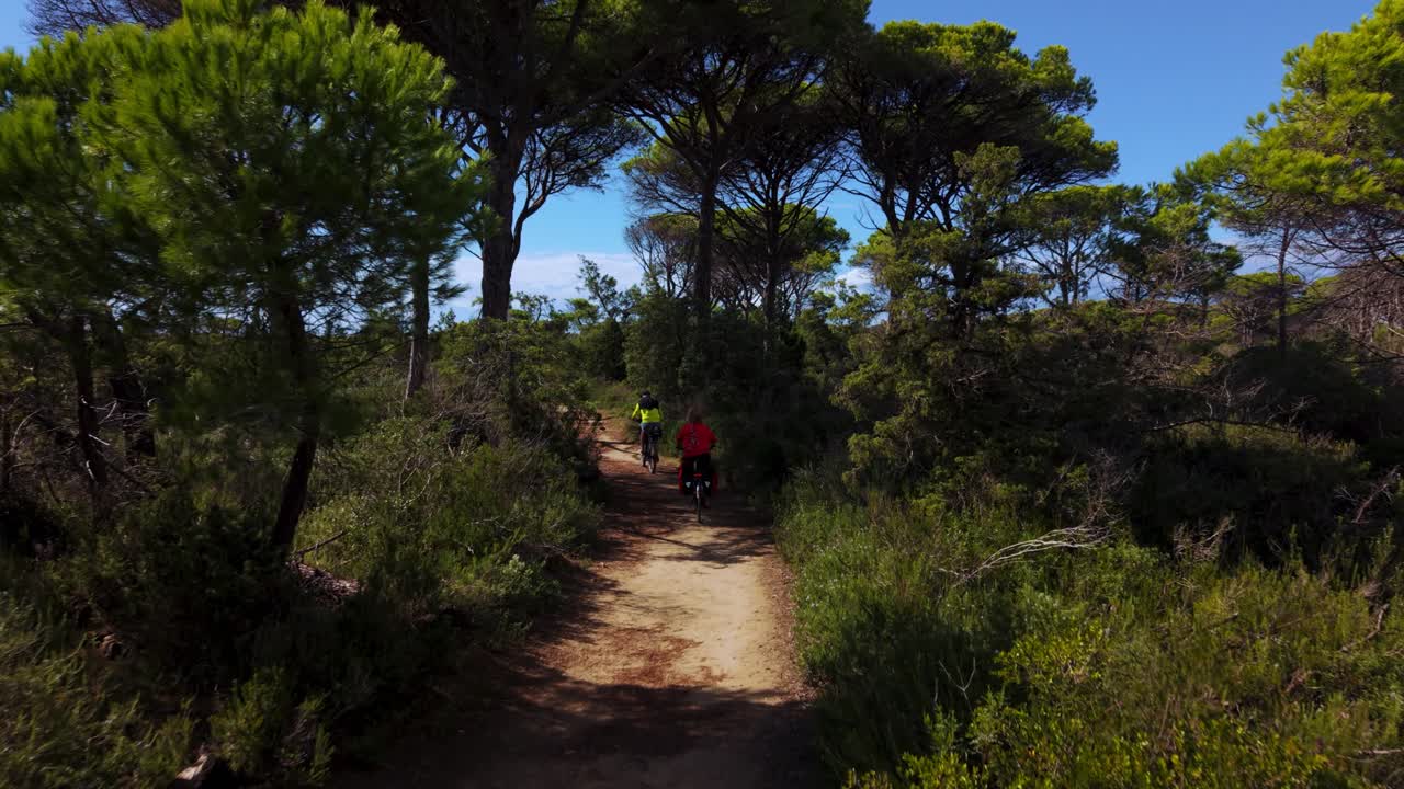 Senior couple rides e-bikes at coastal pine forest toward the seaside beach in Parco Maremma. Aerial