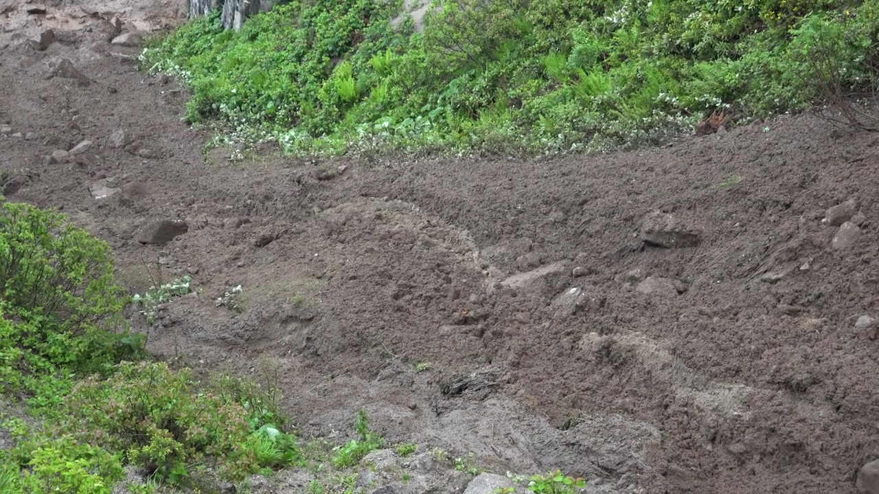 Tanah Longsor Mengalir Turun Lereng Bukit Setelah Hujan Lebat