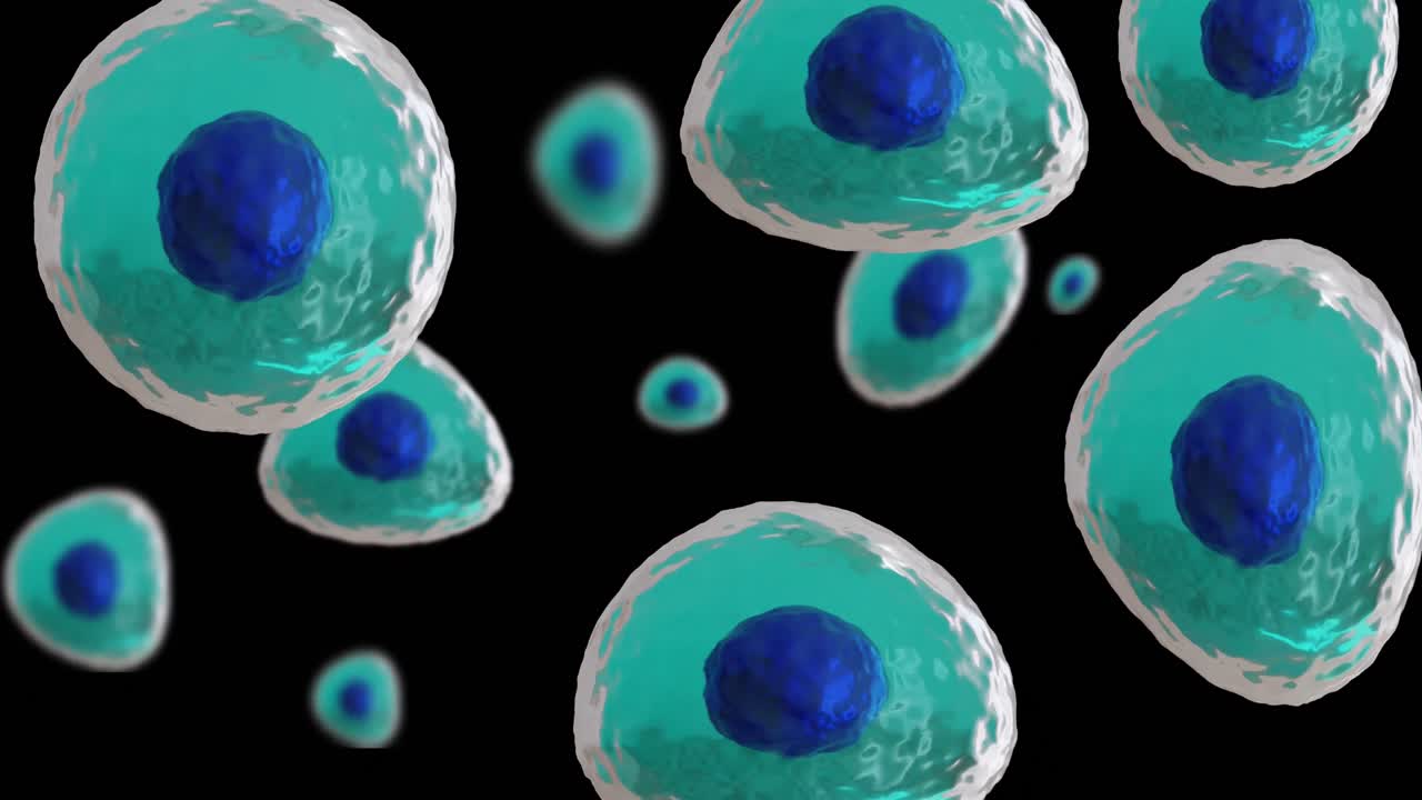 animación de micro de células azules y turquesas sobre fondo negro