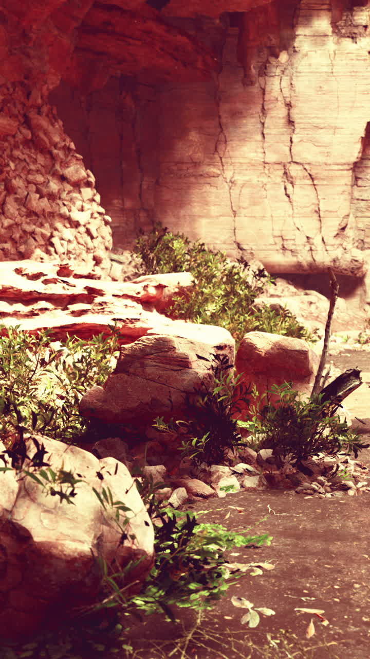 escena de la cueva del desierto del cañón