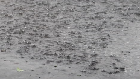 Gotas-De-Lluvia-Salpicando-En-Un-Charco-De-Agua-Durante-Una-Tormenta