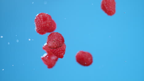 Raspberries Falling with Water Splashes on Blue Background