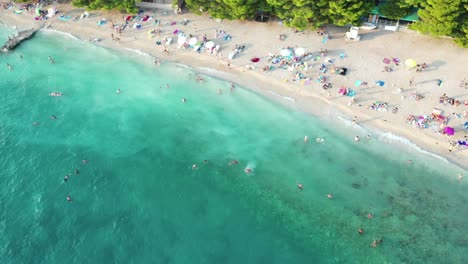 Luftaufnahme-Von-Oben-Nach-Unten-Auf-Menschen,-Die-Im-Meer-Schwimmen-Und-Sich-Am-Strand-Entspannen