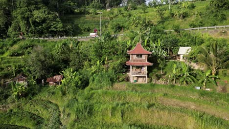 drone en órbita alrededor de una casa tradicional asiática en el borde de una granja de arroz
