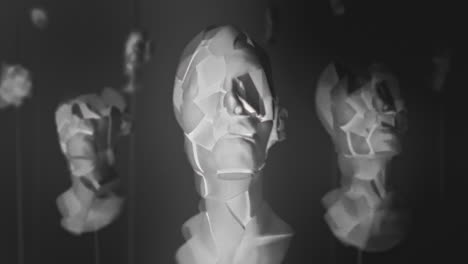 broken mannequin head shells in xray