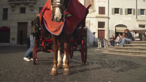 horse and carriage in rome