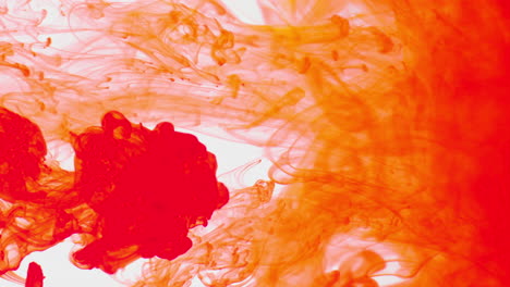 pintura o tinte naranja derramada en agua contra un fondo blanco para crear un fondo de humo de colores giratorios 1