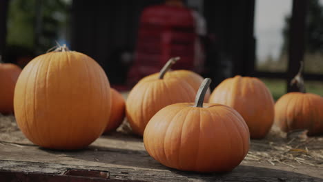 grandes calabazas en la feria agrícola de halloween. tractor en el fondo