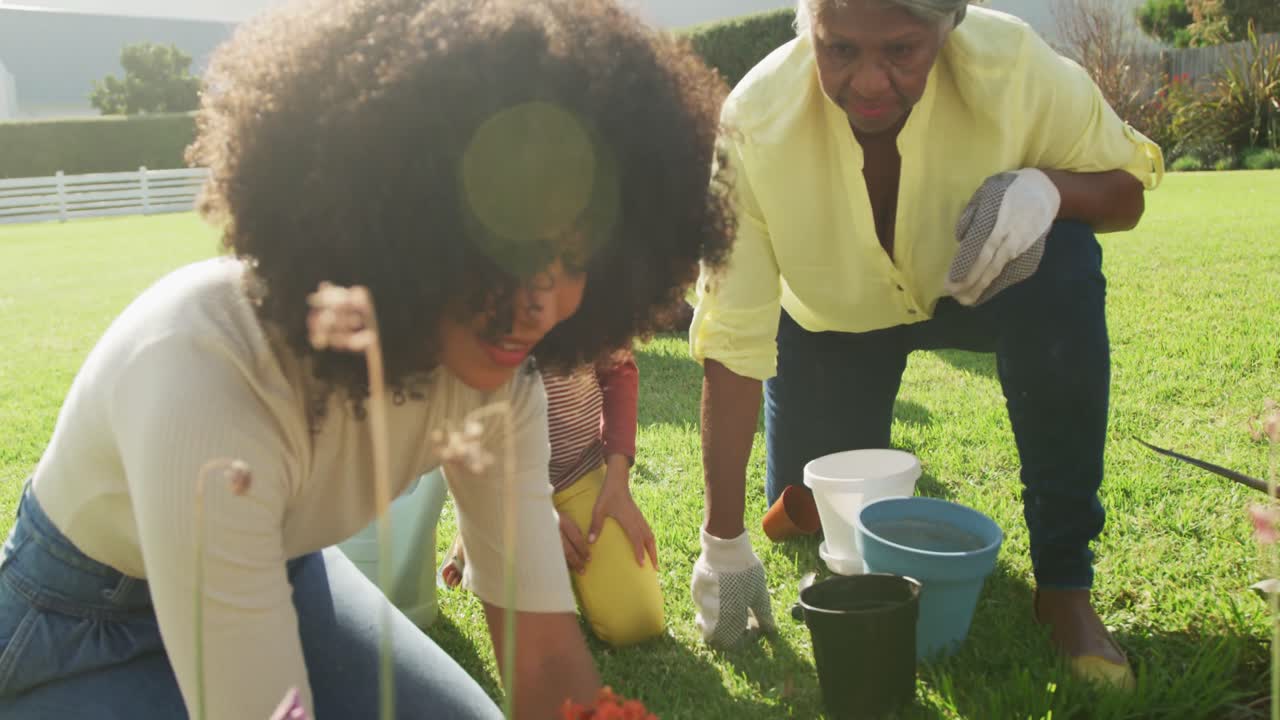 Video di famiglia afroamericana felice che pianta e trascorre del tempo insieme in giardino.