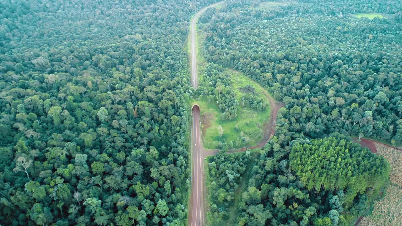 Bird's eye view of a wildlife overpass in Misiones, Argentina, showcasing the conscientious effort in animal conservation
