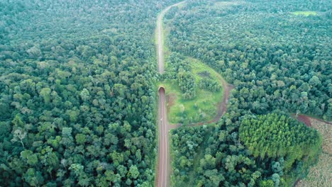 bird's eye view of a wildlife overpass in misiones, argentina, showcasing the conscientious effort in animal conservation