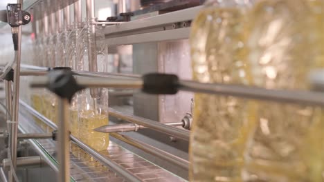 sunflower oil in the bottle moving on production line. bottling line of sunflower oil in bottles. vegetable oil production plant. high technology. industrial background