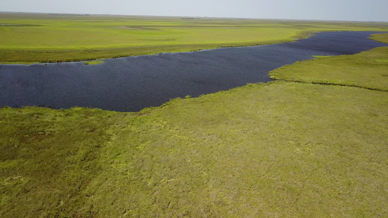 Zone umide del nord-est dell'Argentina riprese con drone