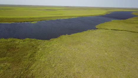 Wetlands-of-northeast-Argentina-shooted-with-drone