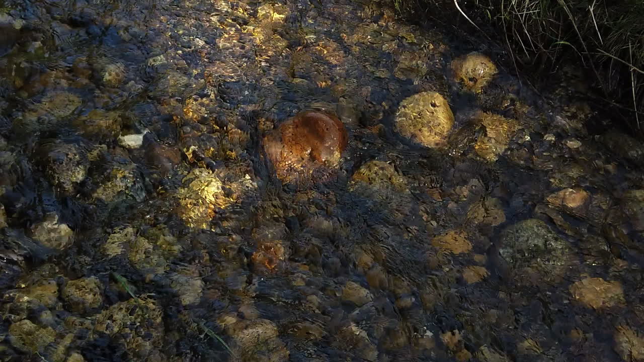 Medium shot looking downwards onto a babbling brook