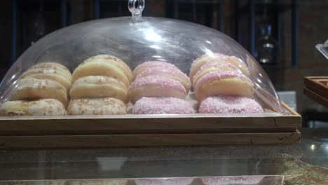 donuts in a display case