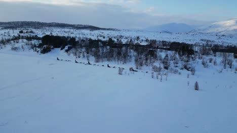 Disparo-De-Drones-De-Trineos-Tirados-Por-Perros-En-Tromso,-Noruega,-Durante-El-Invierno-Con-Nieve