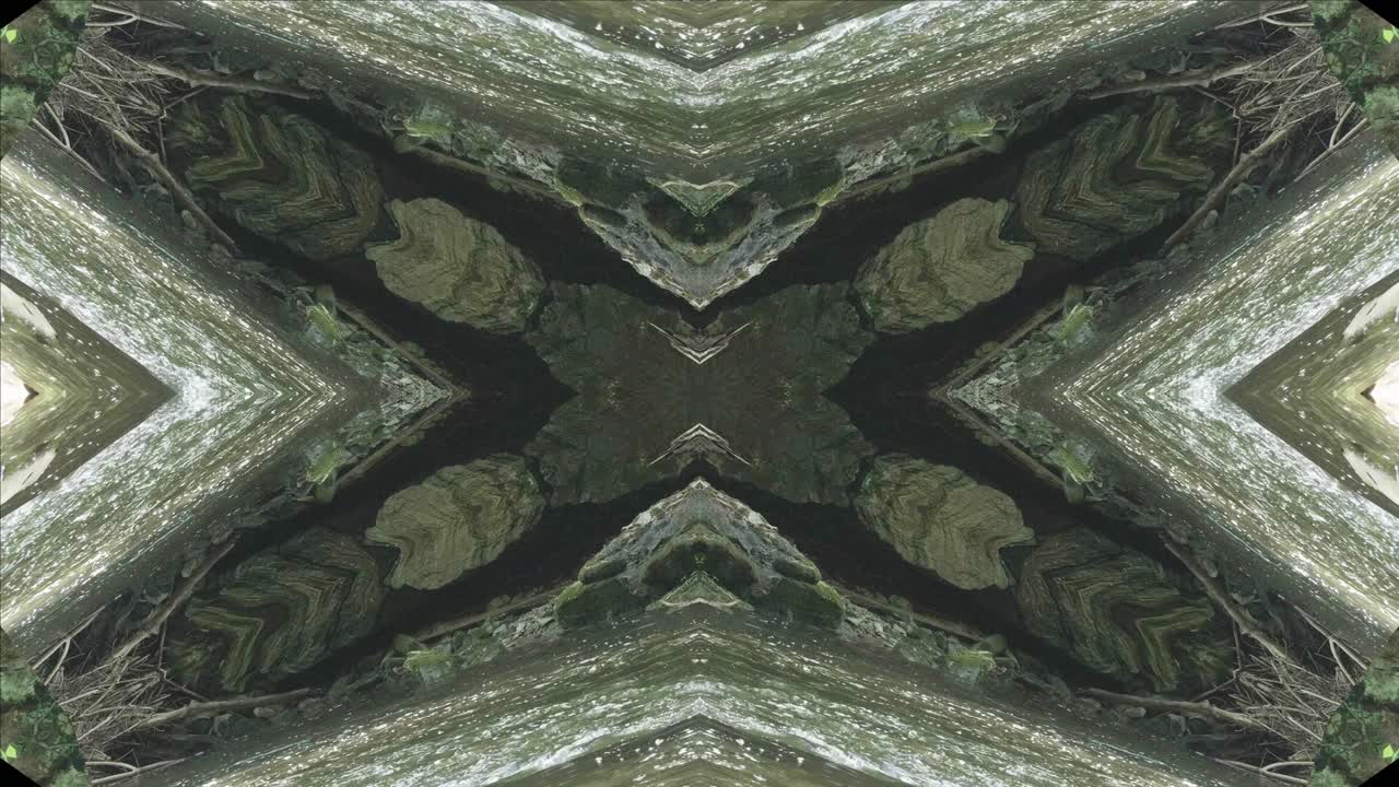 caleidoscopio de vegetación usando imágenes de bosque de wissahickon creek, philadelphia, #44