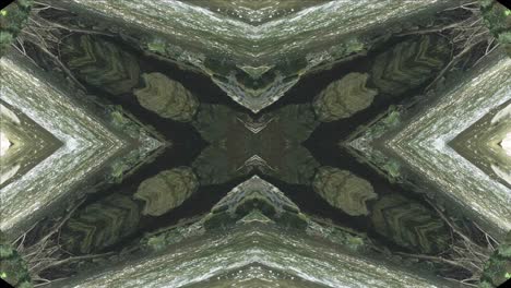 Greenery-Kaleidoscope-using-forest-imagery-from-Wissahickon-Creek,-Philadelphia,-#44