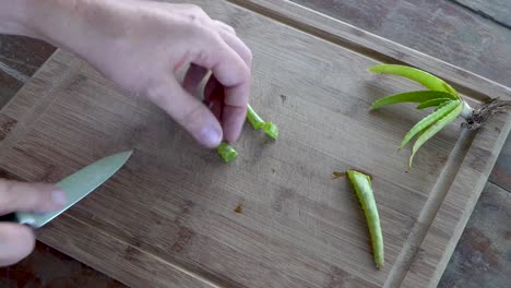 slicing aloe vera leaf on wooden cutting board to harvest gel, close up