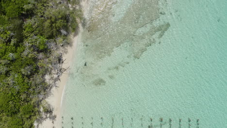 antena - barco en aguas turquesas claras, cayo icacos, puerto rico, de arriba hacia abajo hacia adelante