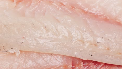 closeup of sliced raw white fish