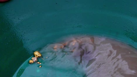 gold panning business success: green trap pan, wetting, soaking, agitating and washing discovered golden nuggets in brown murky water, static extreme close up