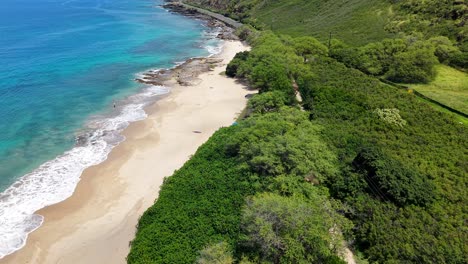 dense green forest meets a secluded sandy beach on the coast of oahu, hawaii