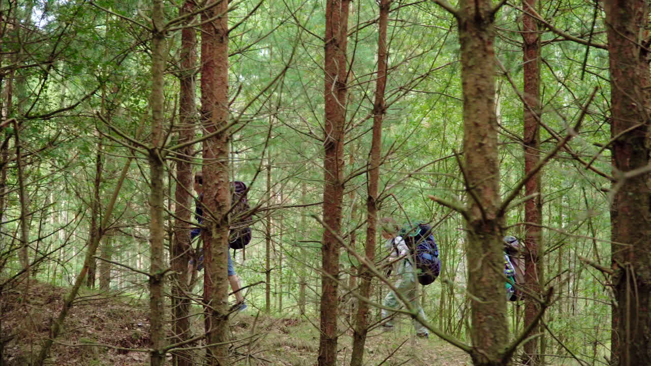 los turistas caminan por el bosque. los jóvenes viajeros hacen su camino a través del denso bosque