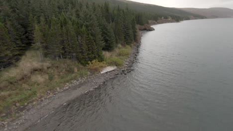 Hidden-cabin-in-autumnal-coniferous-forest,-on-lake-shore