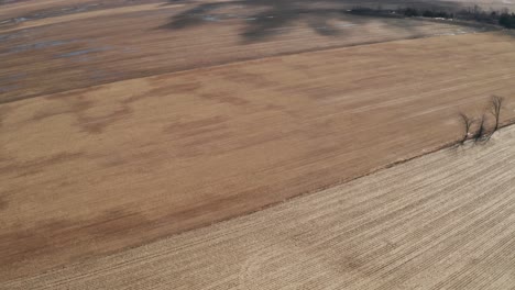 sombras de árboles en campos de cultivo marrones en primavera