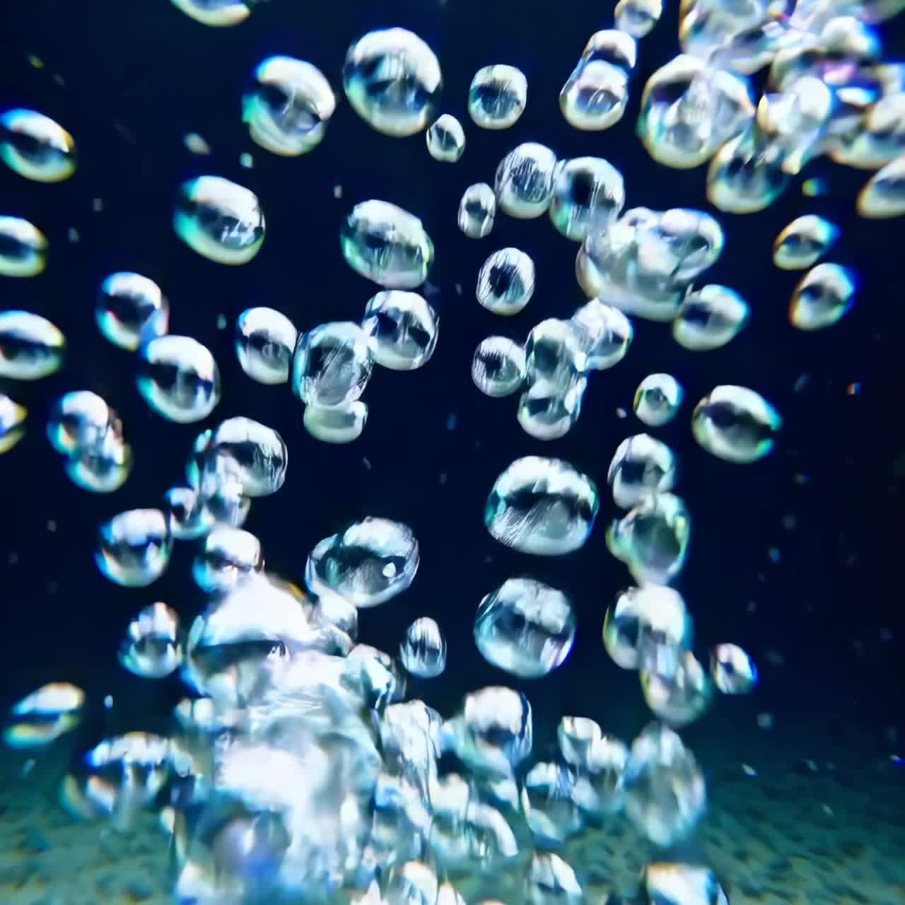 Underwater video captures rising bubbles in a close-up, dynamic angle, showcasing their clarity