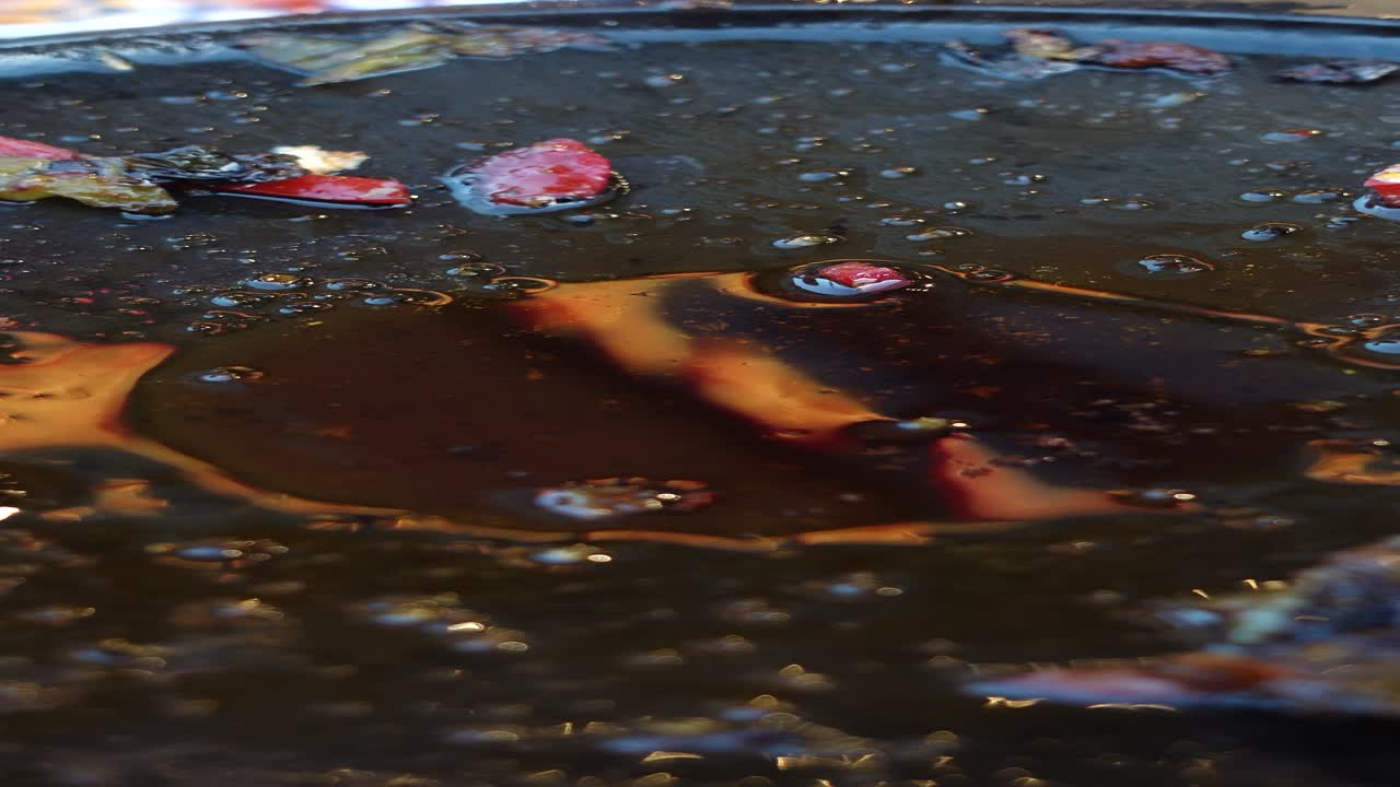 primer plano de aceite y especias en una sartén