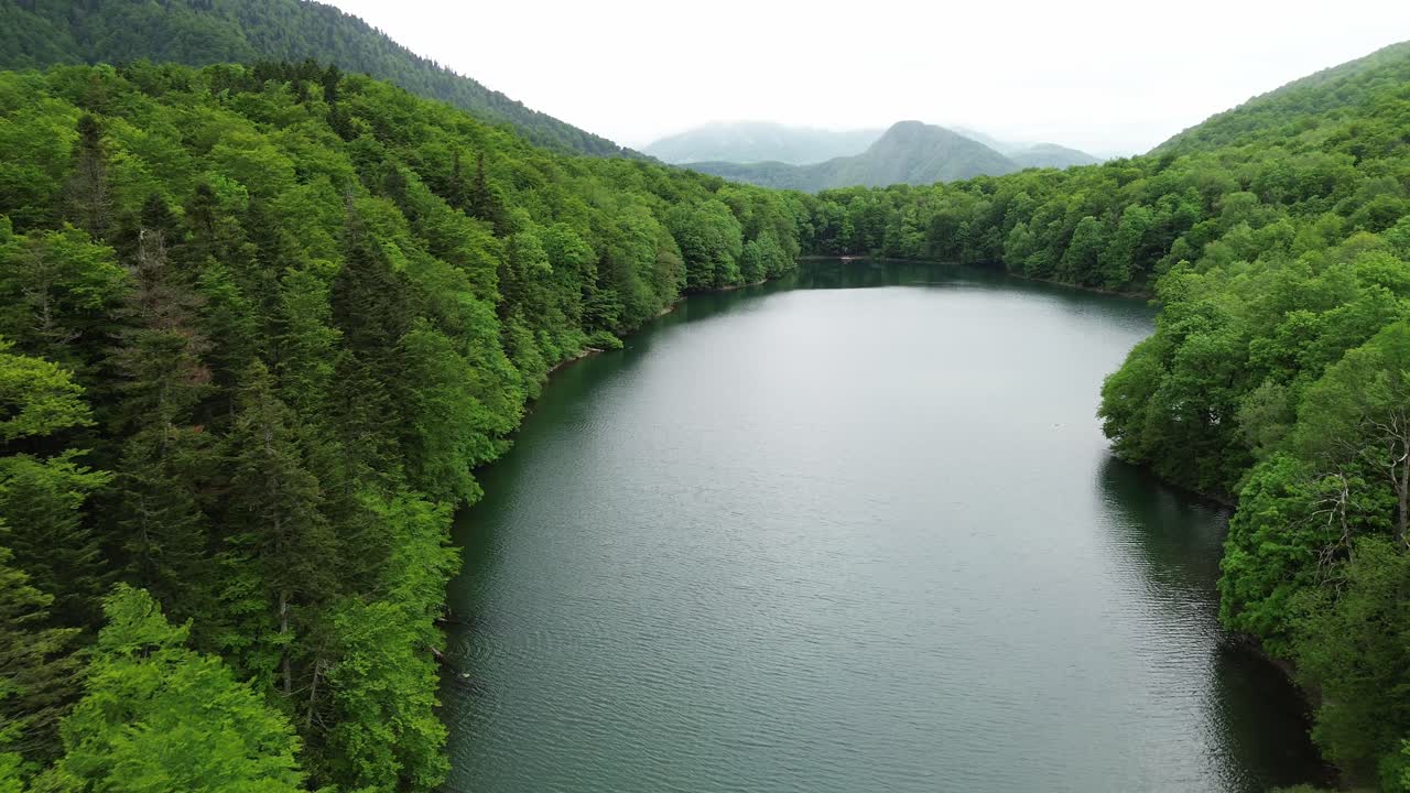 Lake in Biogradska Gora National Park, drone shot