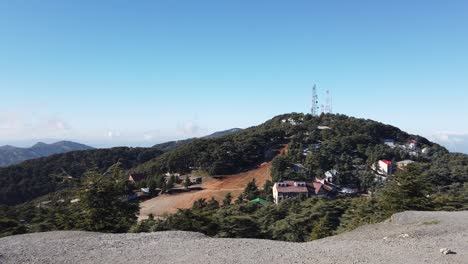 View of atlas mountain,cedrus trees, and clear weather in chrea national park - algeria