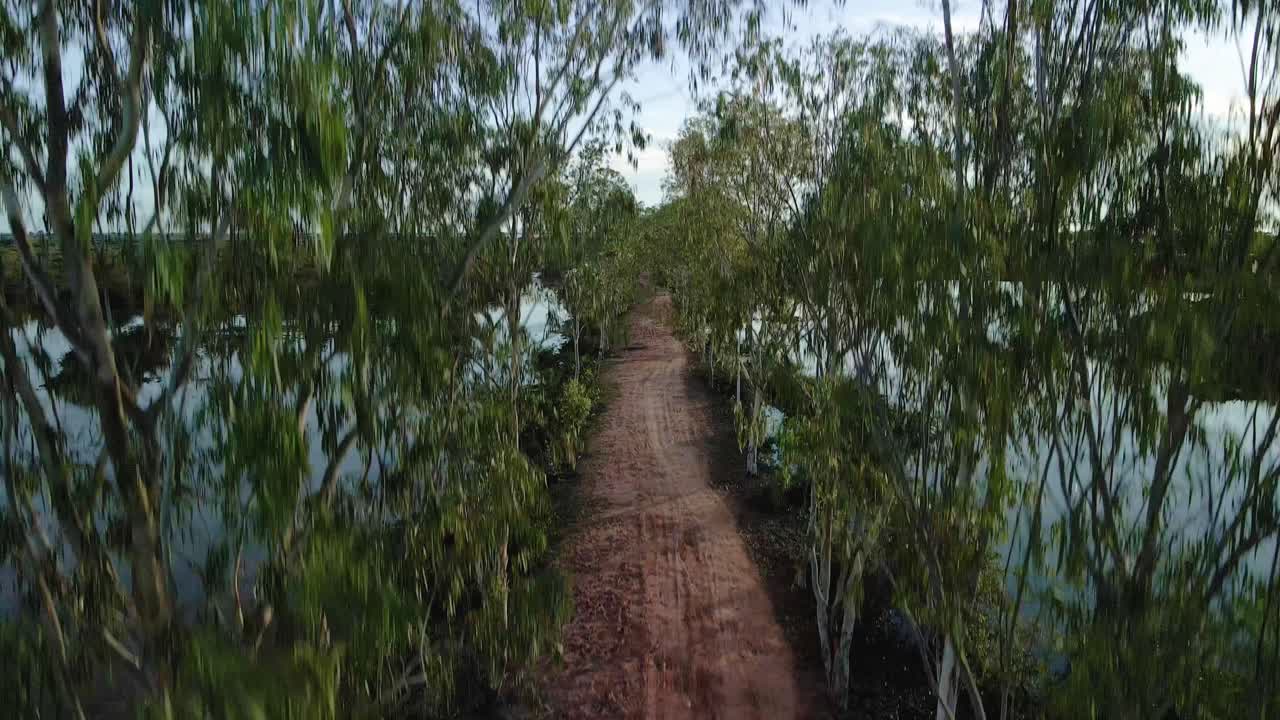 나무가 늘어선 붉은 비포장 도로에서 멀리 떨어진 거대한 호수까지 공중 드론 영상이 도로에서 나무를 통해 위로 올라가 수평선에 있는 범람원과 호수의 광활함을 보여줍니다.