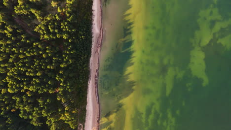 aerial birds eye following the long stretch of sandy beach shoreline; strante-ulmale, saka parish, south kurzeme, latvia (europe).