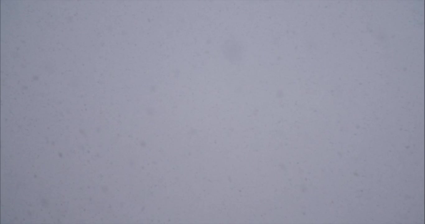 Winter blizzard. Snow Falling In Slow Motion