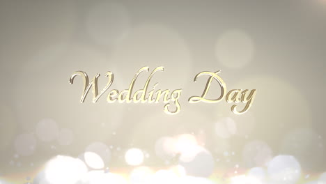 Closeup-text-Wedding-Day-and-motion-white-and-gold-circles