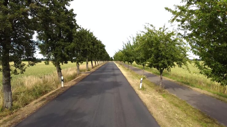 Strada di campagna piccola e vuota sulla via per il prossimo villaggio. Splendida ripresa aerea con drone in volo in avanti su un campo di mais in Europa, estate 2022. Visione cinematografica 4K dall'alto di Philipp Marnitz.