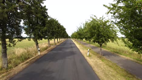 Pequeño-Callejón-Vacío-En-El-Camino-Hacia-El-Próximo-Pueblo-Hermosa-Vista-Aérea-Vuelo-Volar-Hacia-Adelante-Imágenes-De-Drones-En-El-Campo-De-Maíz-En-Europa-Verano-2022-4k-Vista-Cinematográfica-Desde-Arriba-Por-Philipp-Marnitz