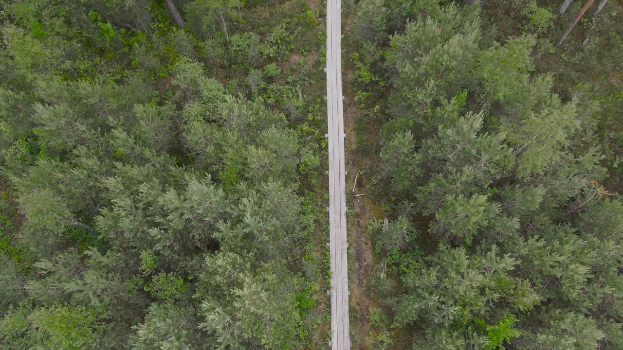 imágenes de drones de una ruta de senderismo de madera de pantano en tallin estonia balitics en el verano en 4k con árboles verdes y una ruta de caminata de madera