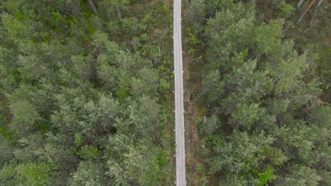 Drohnenaufnahmen-Von-Einem-Moorwanderweg-Aus-Holz-In-Tallinn,-Estland,-Baltikum-Im-Sommer-In-4K-Mit-Grünen-Bäumen-Und-Einem-Holzwanderweg