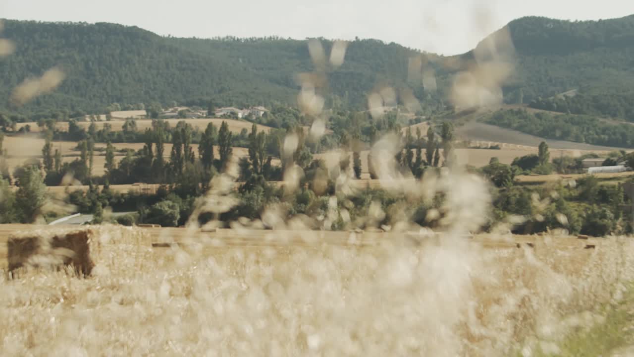 статический снимок поля соломенных тюков с сухим